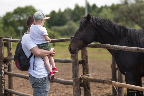 Father and son walk in the contact zoo. A beautiful portrait of a horse in a paddock on a ranch on a private eco farm. Animal husbandry. Love for animals. Family weekend.