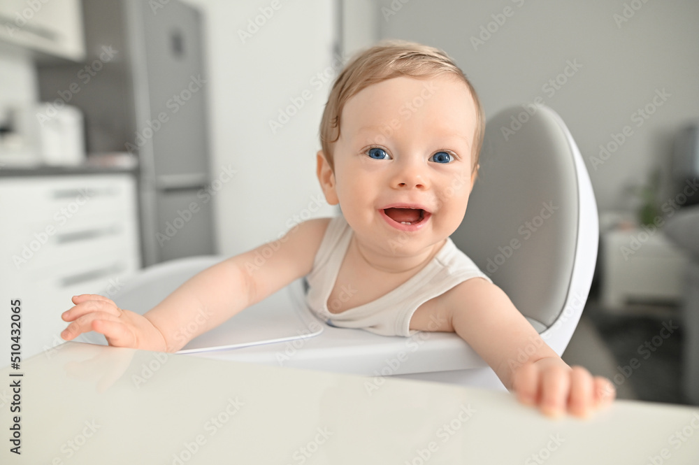 Portrait of a joyful baby with his first teeth looking at you sitting on a high chair Portrait of a joyful baby with his first teeth looking at you sitting on a high chair