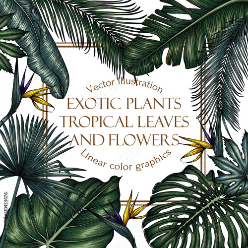Vector frame with tropical plants. Palm and banana leaves, monstera, strelitzia, aralia, elephant ear leaf