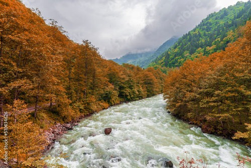 Firtina Stream view in Rize Province of Turkey photo