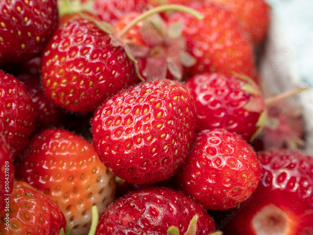 A bed of homemade strawberries. A bed of homemade strawberries.