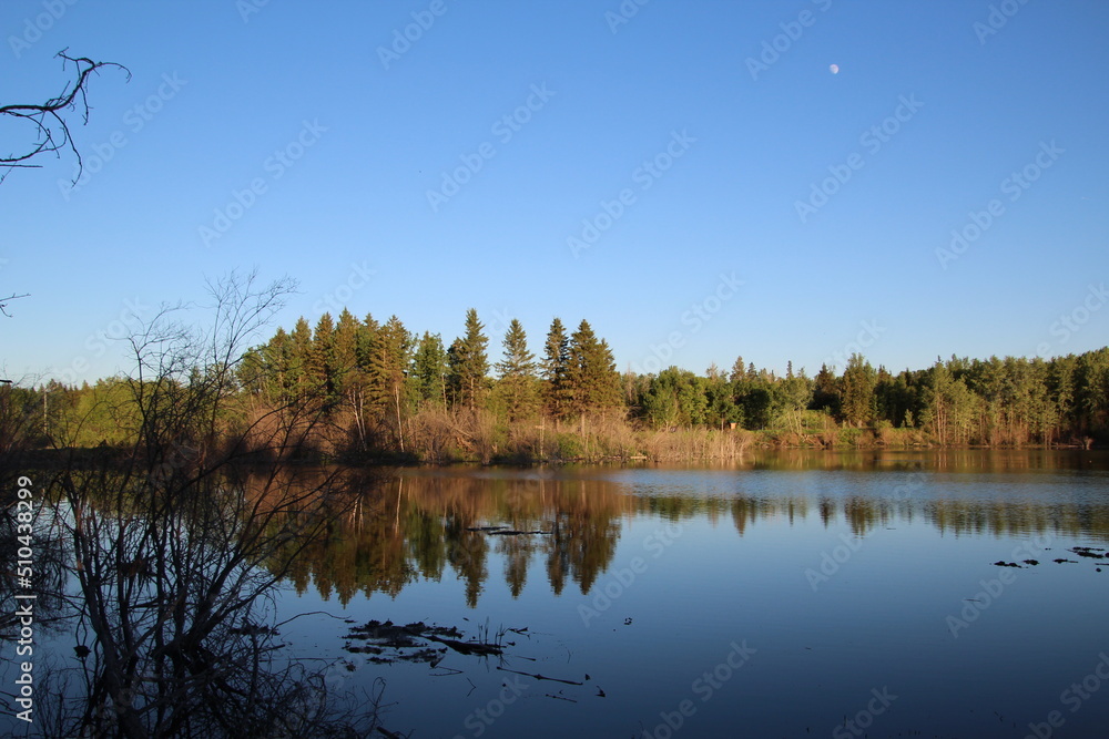 Spring In The Bay, Elk island National Park, Alberta Spring In The Bay, Elk island National Park, Alberta
