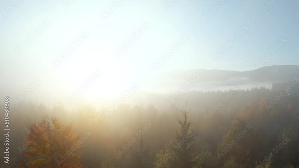 Flying through the fog above a bright autumn forest on the slopes of the mountains at dawn. Colorful panorama of the Carpathian mountains in autumn Flying through the fog above a bright autumn forest on the slopes of the mountains at dawn. Colorful panorama of the Carpathian mountains in autumn