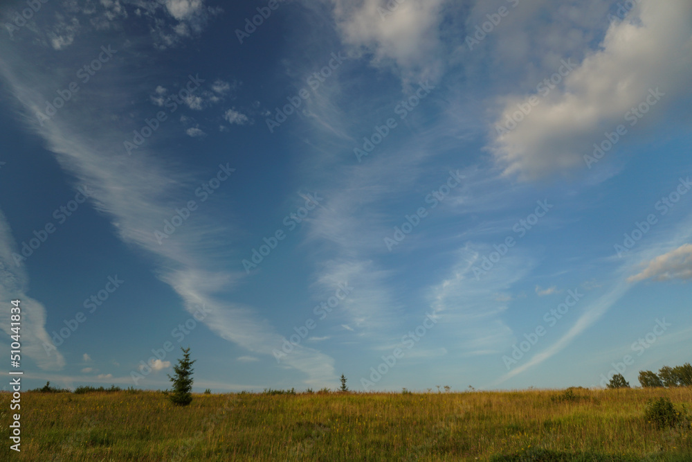 Landscape field and sky. Rural nature in summer.