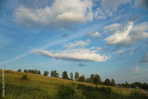 Landscape field and sky. Rural nature in summer.