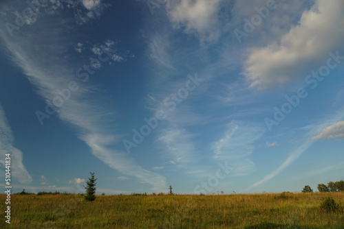 Landscape field and sky. Rural nature in summer. © subjob