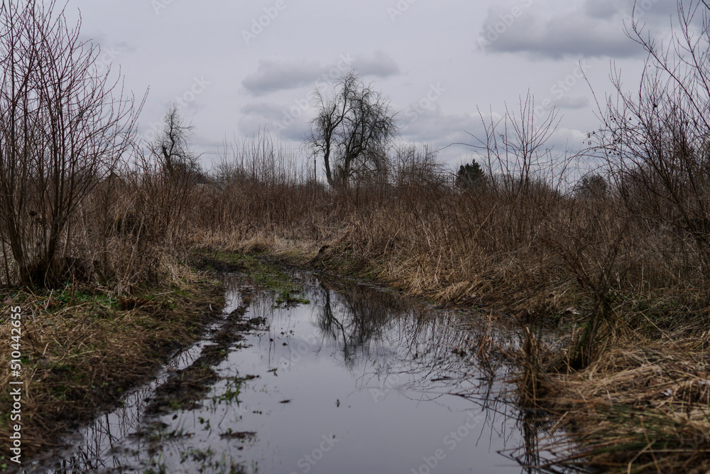 Swamp in the forest. Wetland in the countryside. Landscape of nature. Swamp in the forest. Wetland in the countryside. Landscape of nature.