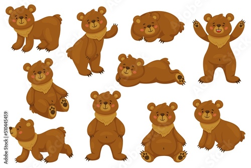 Cartoon brown bear. Funny animal in different poses, sitting lying and standing. Happy forest character, cute big comic grizzly collection, danger wild mammal, recent vector isolated set