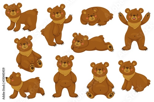 Cartoon brown bear. Funny animal in different poses  sitting lying and standing. Happy forest character  cute big comic grizzly collection  danger wild mammal  recent vector isolated set