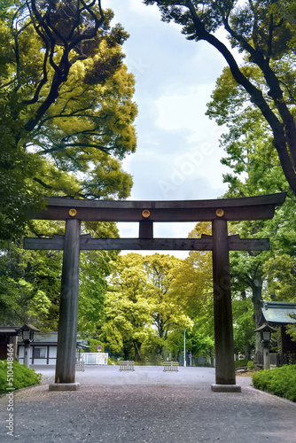 Entrance of Meiji shrine of Harajuku, Tokyo, Japan.Portal of wood gate temple
