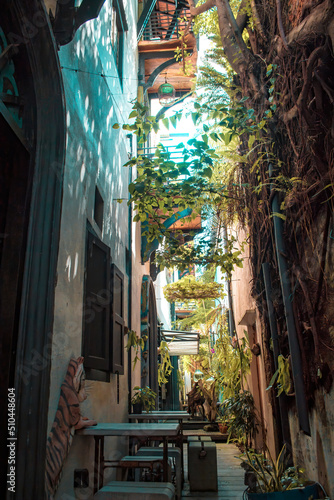 Retro cafe on the narrow street.Cafe table aside. Plants spread on the wall. Nobody in the scene. Ipoh, Malaysia