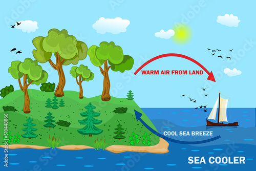Science poster design for sea and land breeze. Shore wind scheme. Air movement with thermal warm and cold air circulation diagram. Local weather cause. Formation of atmosphere in certain area. Vector
