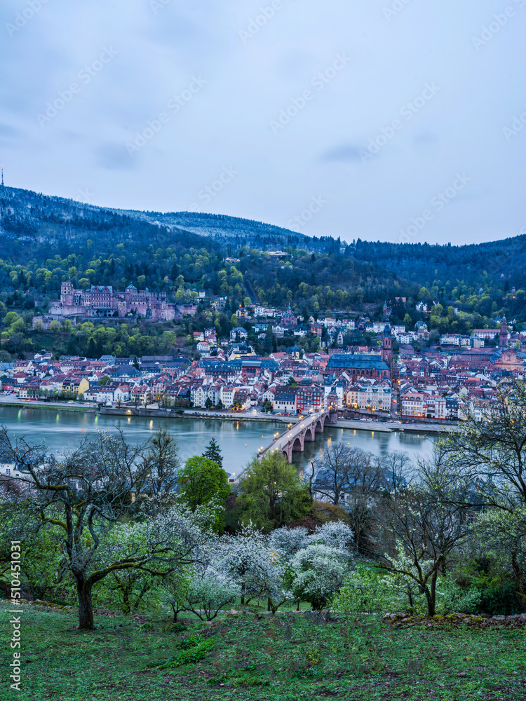 Vertical shot of Heidelberg old town before sunset in Germany
