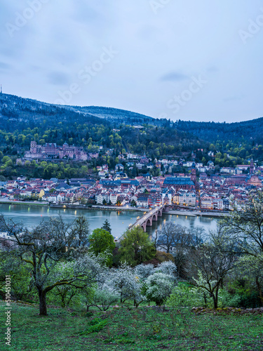 Vertical shot of Heidelberg old town before sunset in Germany © Arnold