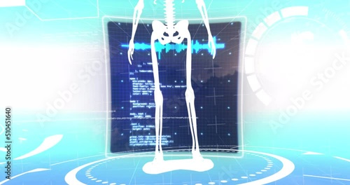 Animation of human skeleton over digital screen with scientific data on blue background photo