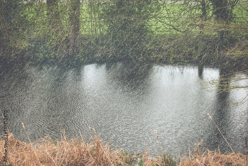 Billede på lærred Intense wintry rain or sleet into a pond surrounded by trees - bad weather