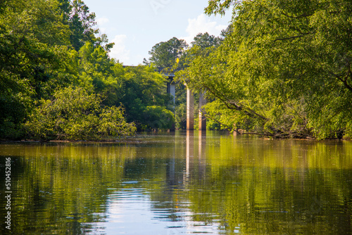 a gorgeous summer landscape in the park with the silky brown waters of Little River surrounded by lush green trees, grass and plants with blue sky and clouds at Olde Rope Mill Park in Woodstock photo