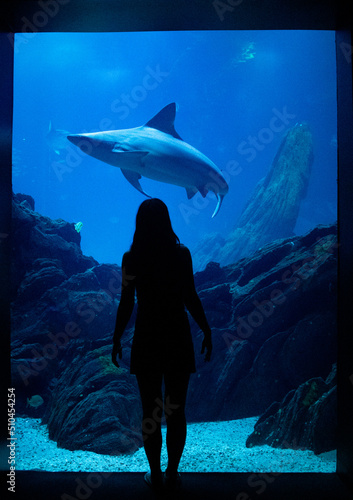 chica observando un tiburon