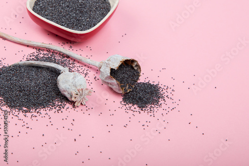 Composition with poppy seeds on pink background.