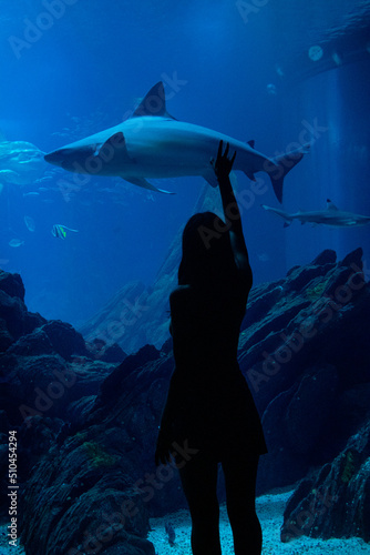mujer acariciando a un tiburón