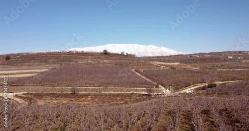 Aerial view of wine vineyard on hilltop, Golan Heights, Israel.