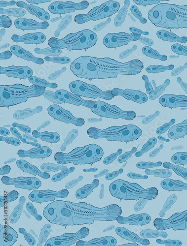mosaico de larvas de peces