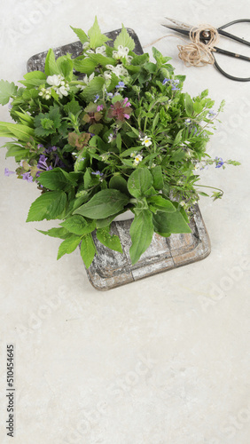 Edible plants and flowers on a light background.