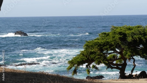 Rocky craggy ocean coast and cypress grove, blue water waves and coniferous pine tree forest, scenic 17-mile drive, Monterey nature near Point Lobos, Big Sur and Pebble beach, California USA. Seascape