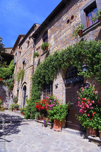 Fototapeta Naklejka Na Ścianę i Meble -  glimpse of civita di Bagnoregio Viterbo Italy