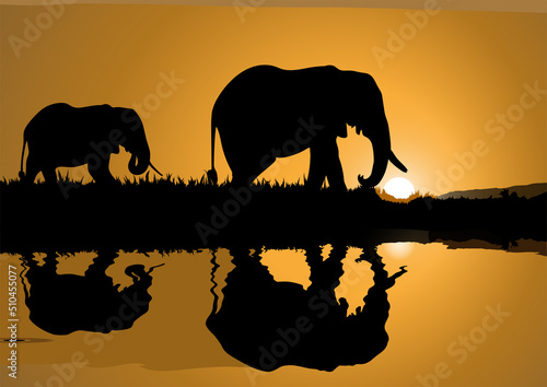 Photography Wild elephants passing trough a lake vector art