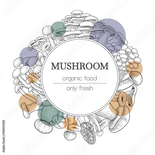 Mushroom background. Vintage botanical food with engraved shiitake, sketch agaric, forest oyster and porcini. Circle decorative frame with copy space. Botanical border vector design template