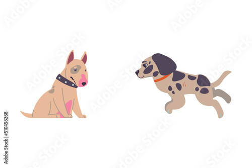 Adopted pets. People taking animals from vet clinics and dog shelter. Homeless puppies. Bullterrier and dalmatian walking in collars. Canine breeds. Cartoon doggy characters vector set