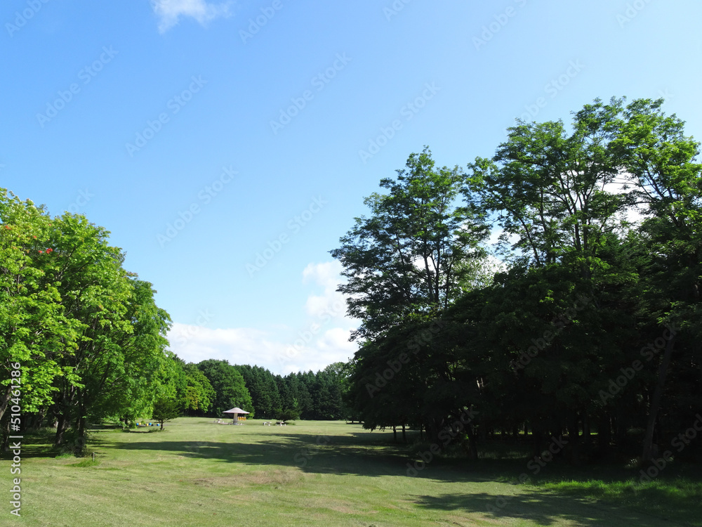 Naklejka premium 札幌 公園