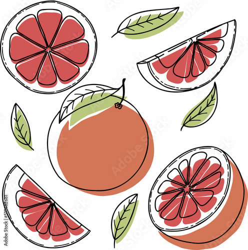Vector grapefruit set: grapefruit, slice, half, whole, and leaves. Green abstract hand-drawn citrus collection with black outline isolated on white background.
