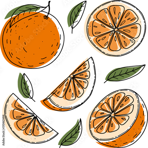 Vector orange set: orange, slice, half, whole, and leaves. Green abstract hand-drawn citrus collection with black outline isolated on white background.