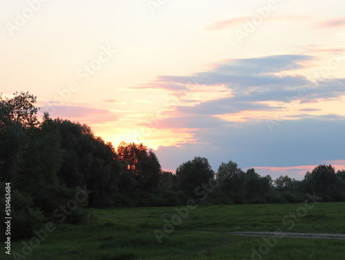 Sunset over the meadow on a summer evening
