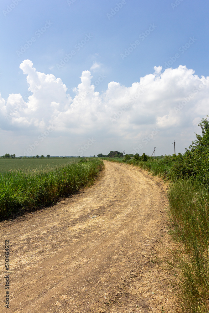 a dirt road located between a forest and a field on a sunny summer day. a dirt road located between a forest and a field on a sunny summer day.