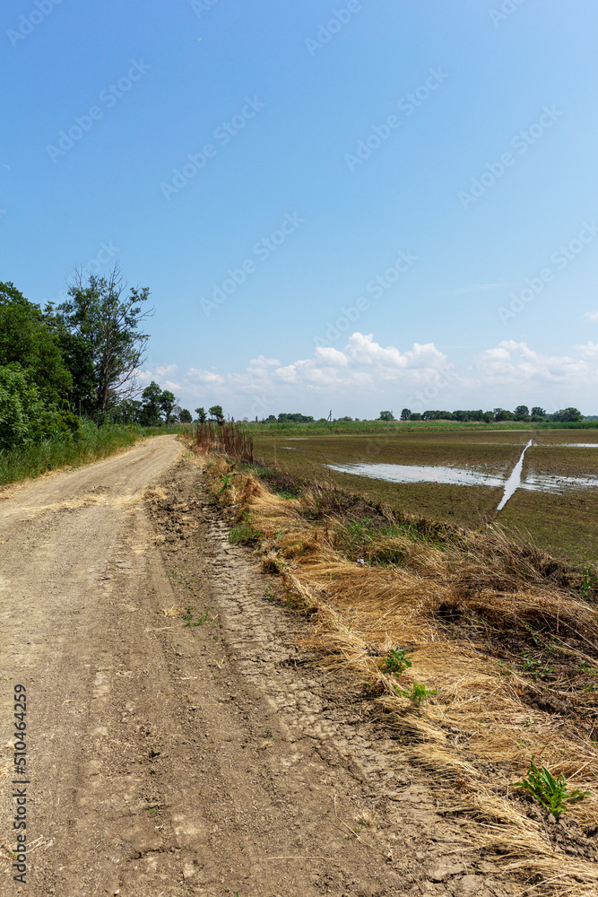 a dirt road located between a forest and a field on a sunny summer day. a dirt road located between a forest and a field on a sunny summer day.