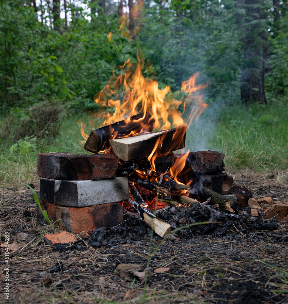 A fire that was lit in the forest for frying meat A fire that was lit in the forest for frying meat
