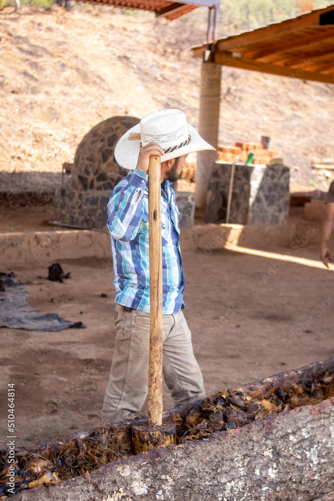 proceso de fabricacion de la raicilla a base de agave maximiliana en mixtlan jalisco proceso de fabricacion de la raicilla a base de agave maximiliana en mixtlan jalisco