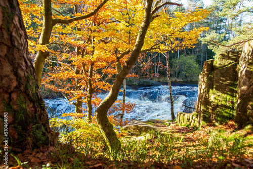 Fototapeta Naklejka Na Ścianę i Meble -  Beautiful autumn colors in deciduous forest by a waterfall