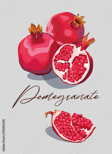 pomegranate photo