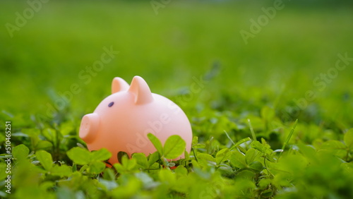 Piggy bank stands sideways in the green grass, the concept of economy