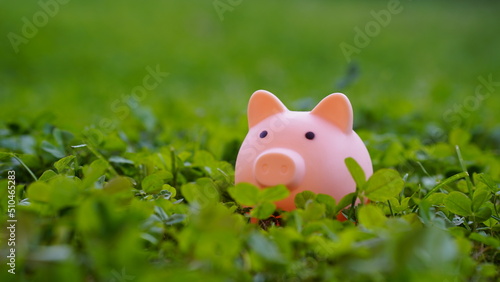Piggy bank stands in the green grass, the concept of economy