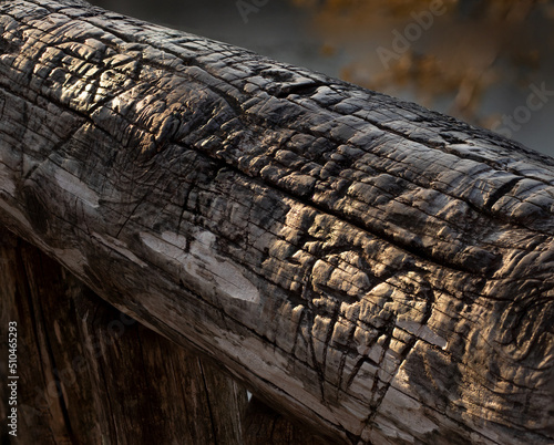 Names carved near a trail