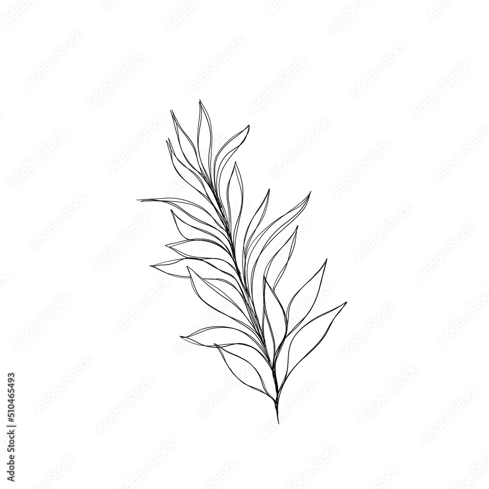 Fototapeta premium botany tattoo sketch - beautiful twig plant. Botanical element template for graphic design, wedding decor, textiles, souvenir gift, stationery print