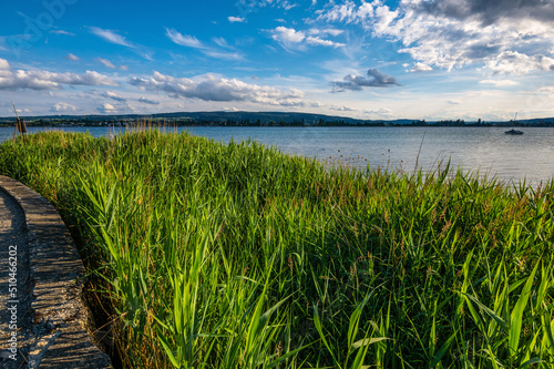 Allensbach am schönen Bodensee im Sommer  photo