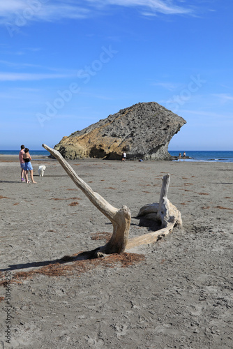almería playa monsul pareja perro primavera 4M0A4137-as22 photo