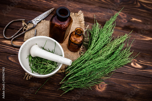 Apothecary mortar with dry medicinal herbs horse tail. Equisetum, horsetail, snake grass, oil for cosmetology. puzzlegrass, candock extract for alternative medicine used diuretic for edema photo