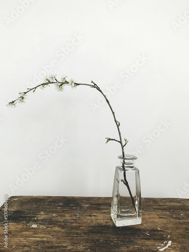 Blooming cherry branch in glass vase on rustic wood in stylish room. Home minimal decor and spring details. Vertical phone photo © sonyachny